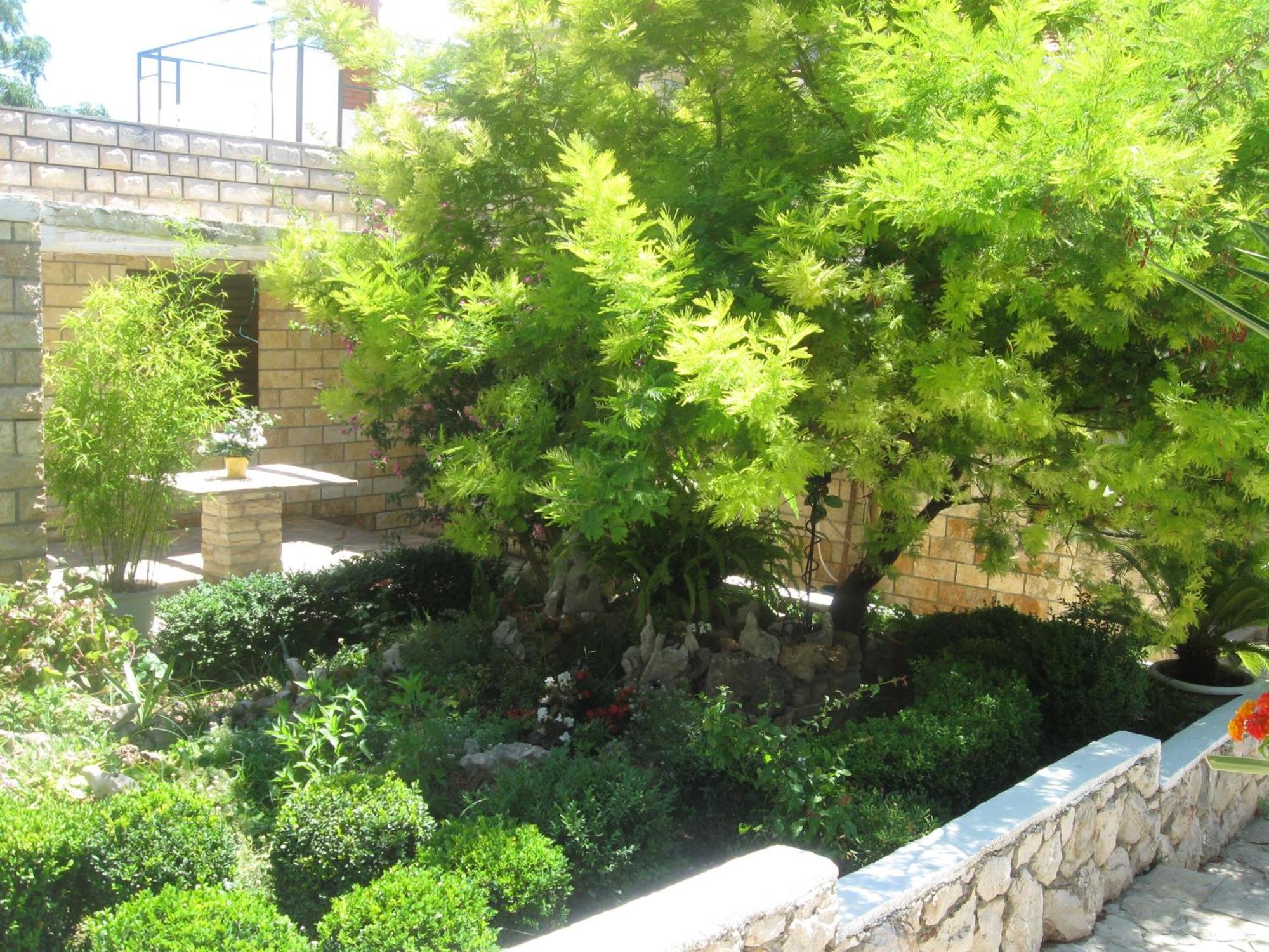 Vucetic Apartment Hvar Town